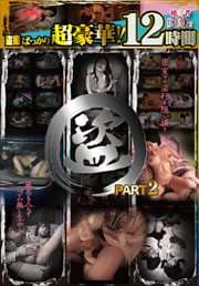 𻣤ФäĶ12 PART2 2 Disc.2