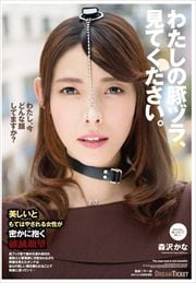 錄ڥť顢Ƥ 