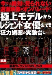 줬ڻҤǥ 쥯 VOL.23 2 Disc.2