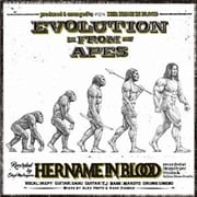 Evolution From Apes