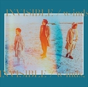 INVISIBLE