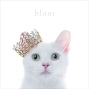 BEST SELECTION blanc