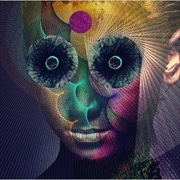 THE INSULATED WORLD