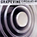CIRCULATOR