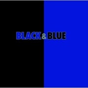 ֥å֥롼 [Blu-specCD2]