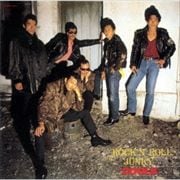 ROCK'N' ROLL JUNKY