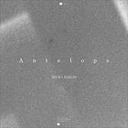 【CDシングル】Antelope