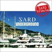 ZARD tribute