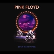 PERFECT LIVE (2 ǥ1)