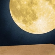 【CDシングル】まんげつの夜