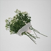 【CDシングル】生きていたんだよな