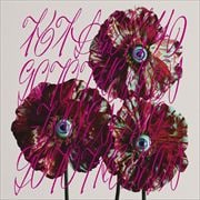 【CDシングル】柏木由紀なりのGO TO THE BEDS-TRUE SONG