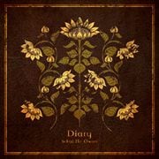 【CDシングル】Diary