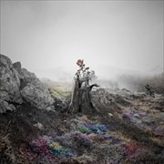 【CDシングル】花