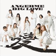 BIG LOVE (2枚組 ディスク1)