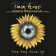 【CDシングル】HEY HEY RISE UP(完全生産限定盤)