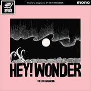 HEY WONDER