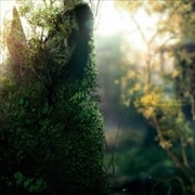 MYTH & ROID Concept mini album <Episode 2>『VERDE』