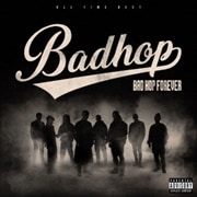 BAD HOP FOREVER(ALL TIME BEST) (2枚組 ディスク2)