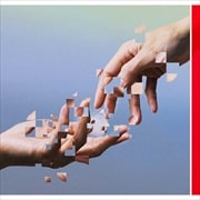 Salyu 20th Anniversary Tribute Album「grafting」 (2枚組 ディスク1)