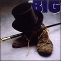MR.BIG