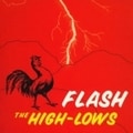 FLASH BEST