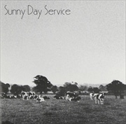 Sunny Day Service