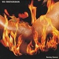 BURNING HAMMER
