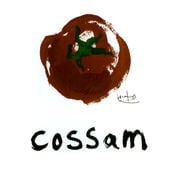 cossam