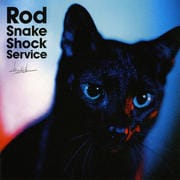 Rod Snake Shock Service