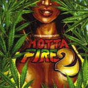 HOTTA FIRE 2