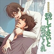 愛してないと云ってくれ
