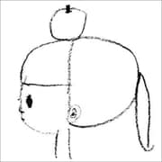 Apple of our eye りんごの子守唄(白盤)