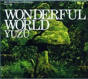 WONDERFUL WORLD
