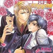 RUBY CD COLLECTION 香港恋愛夜曲