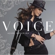 VOICE