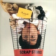 SCRAP STORIES