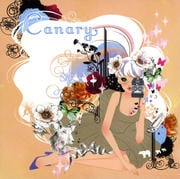 Canary-kirakira biyoriTAMMY's selection