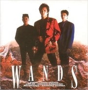 WANDS