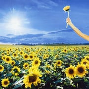 サンキュー〜グレイテスト・ヒッツ