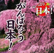 やっぱり日本!がんばろう日本!