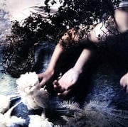 IN THE SEA