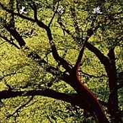 大吟醸