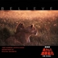 BELIEVE NHKϵ嵪ԡץɥȥå3 [SHM-CD]