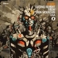 SECOND REPORT FROM IRON MOUNTAIN USA [SHM-CD]
