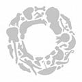 互