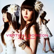 VERTICAL HORIZON