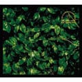 ֥˲֤deluxe edition (2 ǥ1) [Blu-Spec CD2]