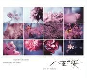 NHK大河ドラマ「八重の桜」オリジナル・サウンドトラック コンプリート盤 (2枚組 ディスク2)