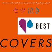 ĵ㤭BEST COVERS